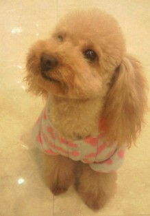 20100112e.jpg