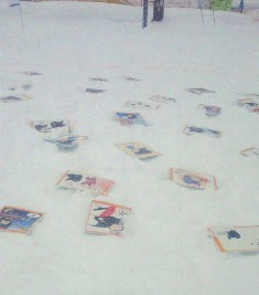 20100130b.jpg