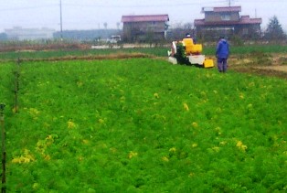 20101123.jpg
