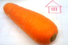 20101125.jpg