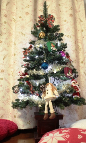 20101213c.JPG