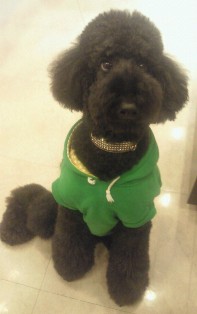 20110112j.jpg