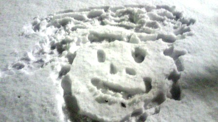 20110113.jpg
