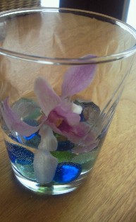 20110131d.jpg