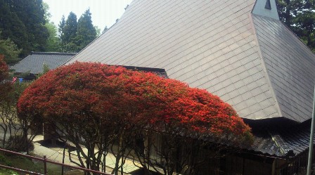 20110522.jpg