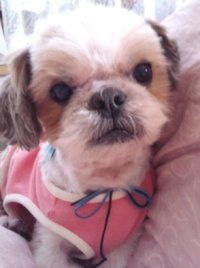 20110525.JPG