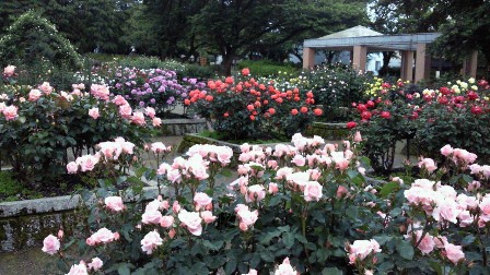 20110529a.jpg