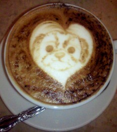 20110612.jpg