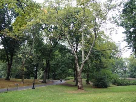 central park2.JPG