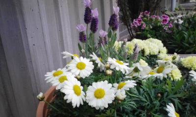 120415_153337.jpg