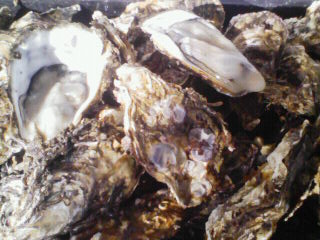 201011180935000.jpg