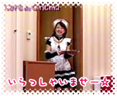 071208tama1.jpg