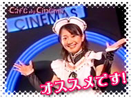 080202tama2.jpg
