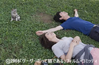 new080906_3.jpg
