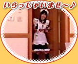 070922tama1.jpg