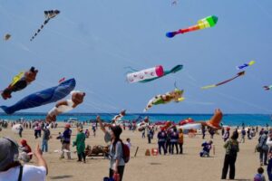 第35回世界の凧の祭典