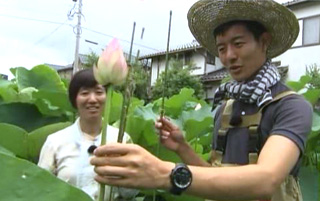 蓮の花の名所 蓮寺 をより美しく 最近の放送 石川さん情報live リフレッシュ