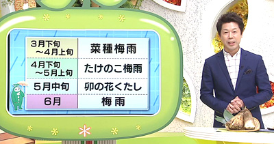 旬のタケノコ 今年はいかが 最近の放送 石川さん情報live リフレッシュ