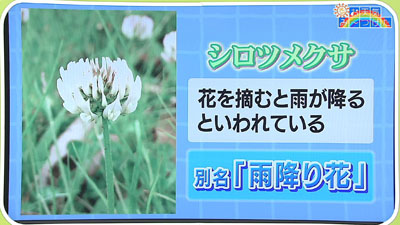 天気の表現について 最近の放送 石川さん情報live リフレッシュ