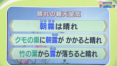 秋の天気ことわざ 最近の放送 石川さん情報live リフレッシュ